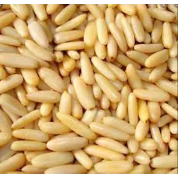 Natural Pine Nuts