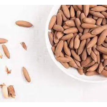 Common Pine Nuts