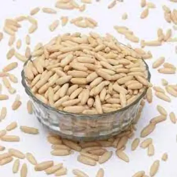 Natural Pine Nuts