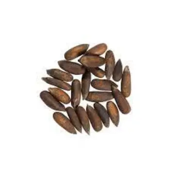 Common Pine Nuts