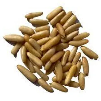 Common Pine Nuts