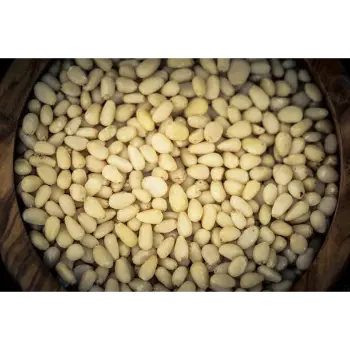  Fresh  Pine Nuts