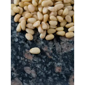 Organic Pine Nuts