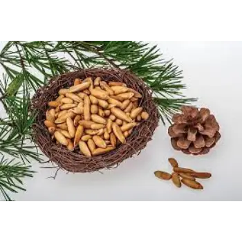 Natural Pine Nuts