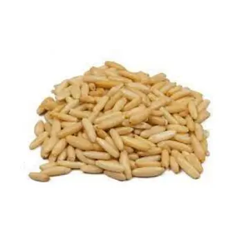 Common Pine Nuts