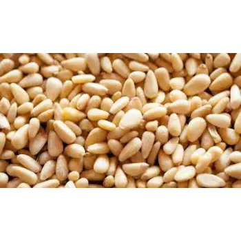Organic Pine Nuts
