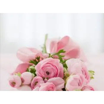 Fresh  Pink Rose 