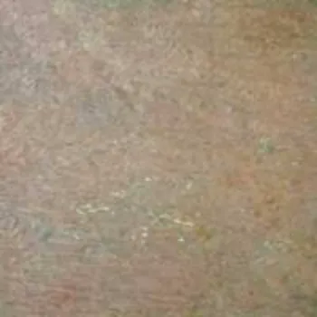 Plain Pink Lime Stone