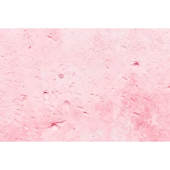 Shambhavi Pink Lime Stone