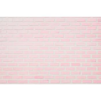 Plain Pink Lime Stone