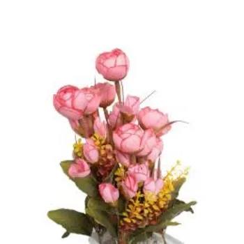 RAJESWARI NURSERY Pink Rose