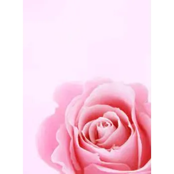 Organic Pink Rose