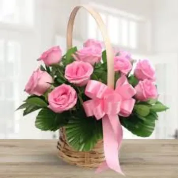 pink Roses