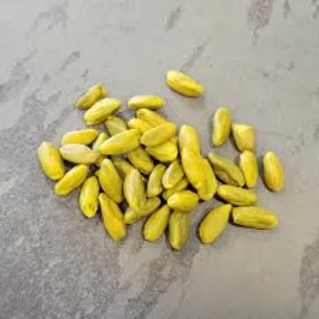 Round Pistachios Nuts