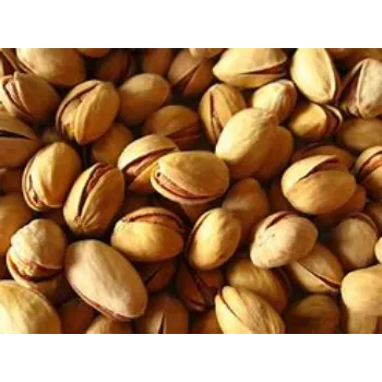 Common Pistachio