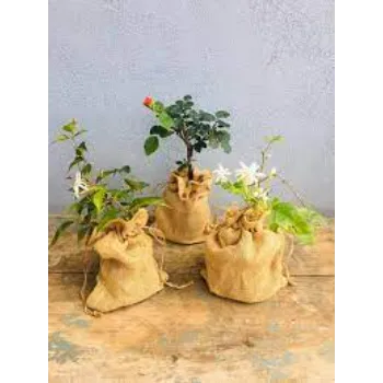 Plant Bag