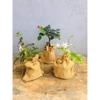 Fine Quality Plant Bag