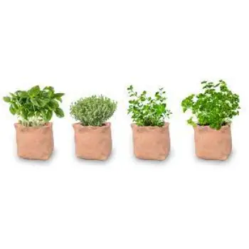 Multisize Plant Bag