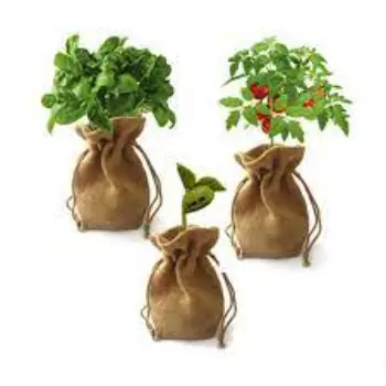 Plant Bag
