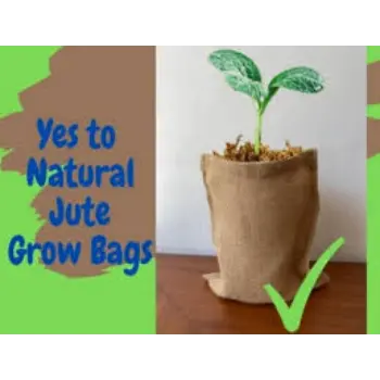 Plant Bag