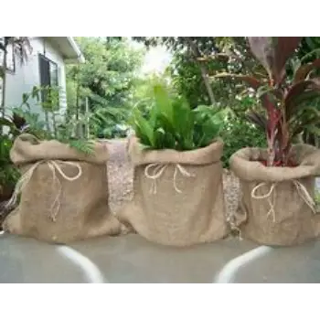 Multicolor Plant Bag
