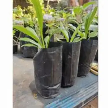 Various Plant Bag