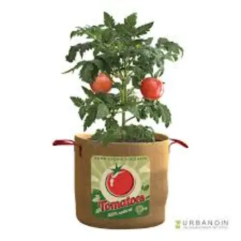 Plant Bag
