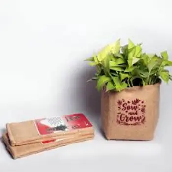 Plant Bag