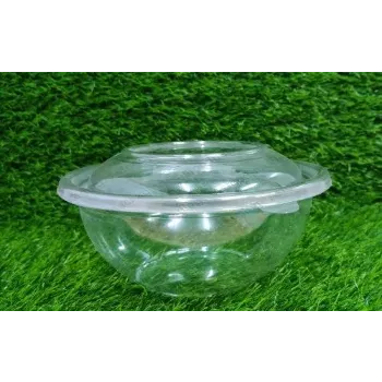  Plastic Disposable Bowl