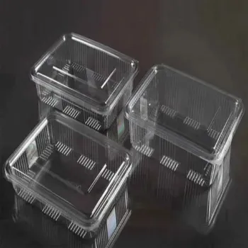  Plastic Disposable Bowl