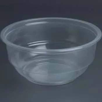Simple Plastic Disposable Bowl