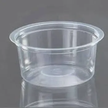 Simple Plastic Disposable Bowl