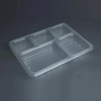  Plastic Disposable Trays