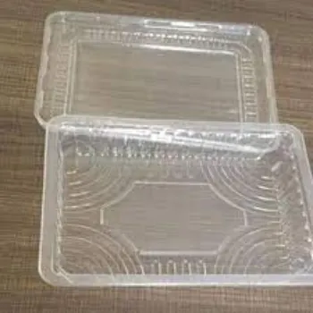  Plastic Disposable Trays