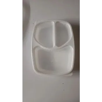  Plastic Disposable Trays