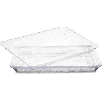 Plastic Disposable Trays