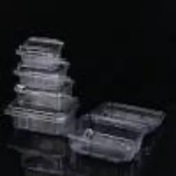 Future Box Private Limited Plastic Disposable Trays