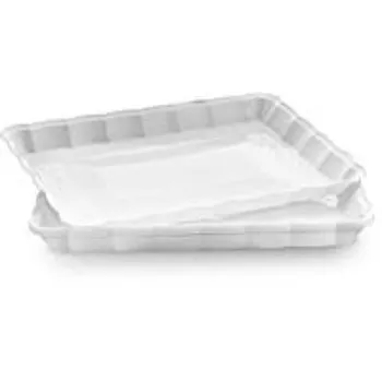 Custom Design Plastic Disposable Trays