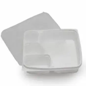 Plastic Disposable Trays