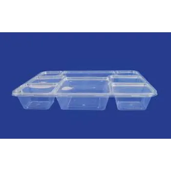 Fine Finish Plastic Disposable Trays