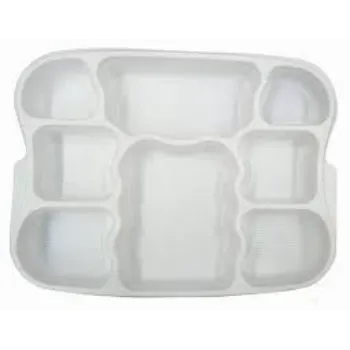 Custom Design Plastic Disposable Trays