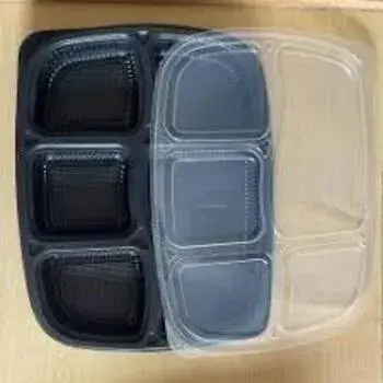 Eco-Friendly Plastic Disposable Trays