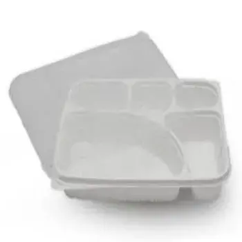 Quality Fine Finish Plastic Disposable Trays