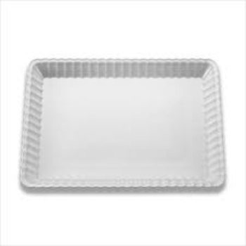 Custom Design Plastic Disposable Trays