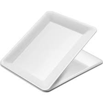 Eco Friendly Plastic Disposable Trays