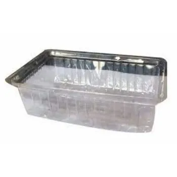 Good Quality Plastic Disposable Trays