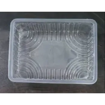 New Plastic Disposable Trays
