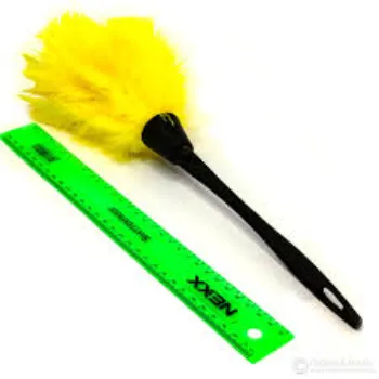  Cleaning Plastic Duster