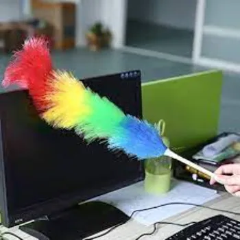 Common Plastic Duster