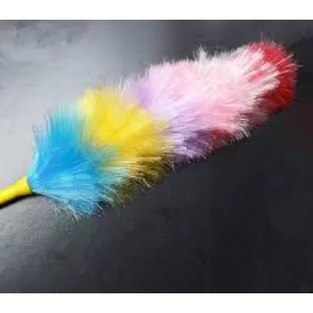 Plastic Duster